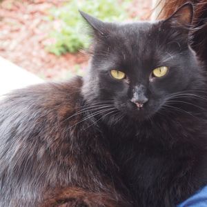 Meet your Posher, Esther